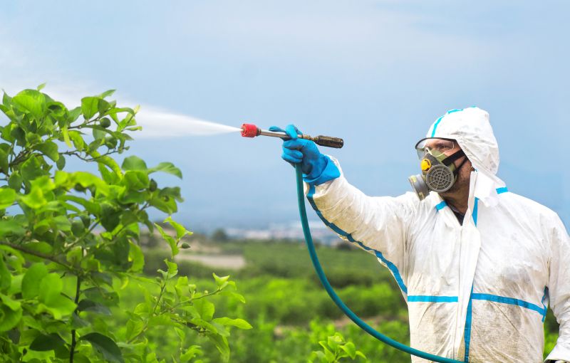 Roach Fumigation in Gwinnett County, GA