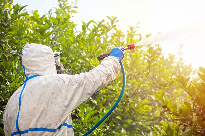 Spider Fumigation Service in Wilmington, NC