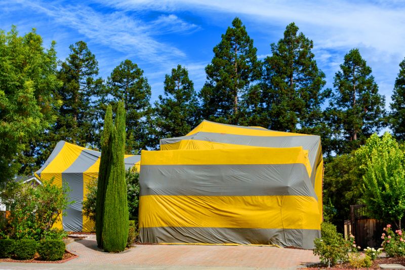 Termite Tenting in San Antonio, TX